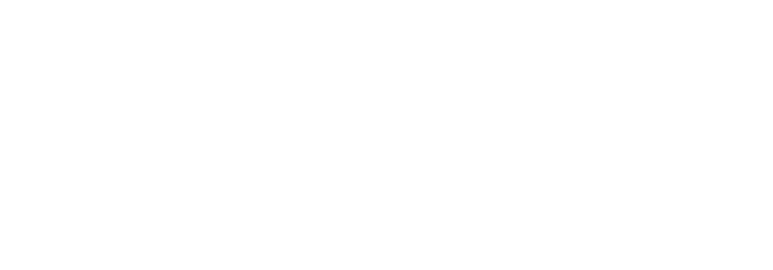 Texas Elite Collision